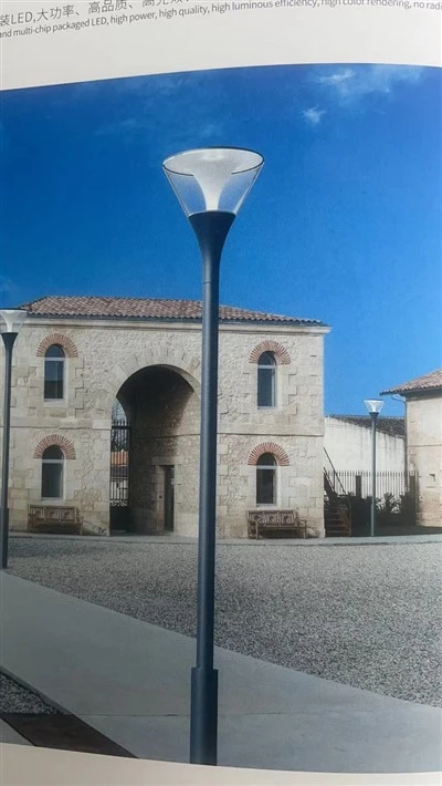 Remote Control Glowing Garden Light